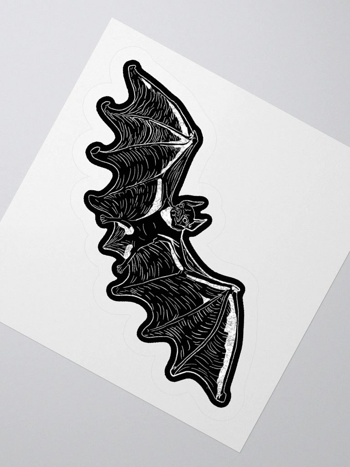 March 6 product image (3)
