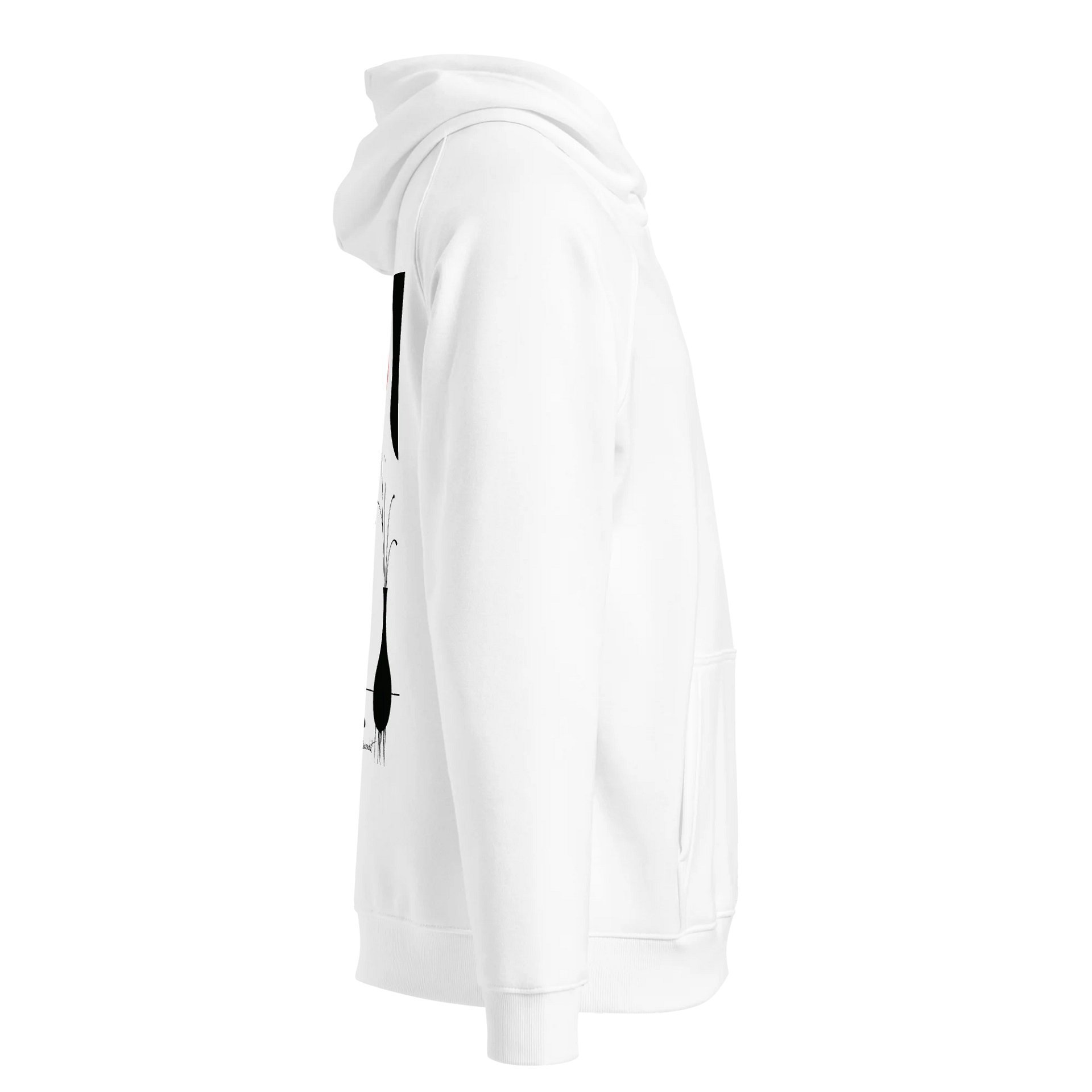 SOL'S Unisex Eco Raglan Hoodie product image (4)