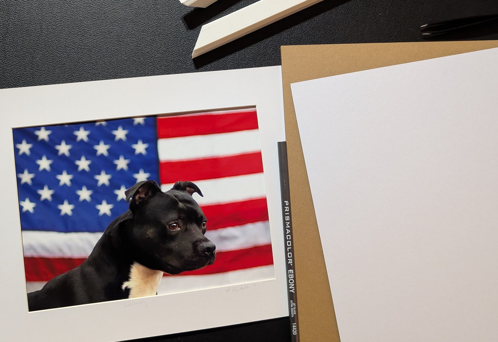 Gallantry Limited Edition Print – American Pit Bull Terrier USA Flag (Signed 5x7 matted 8x10) product image (2)