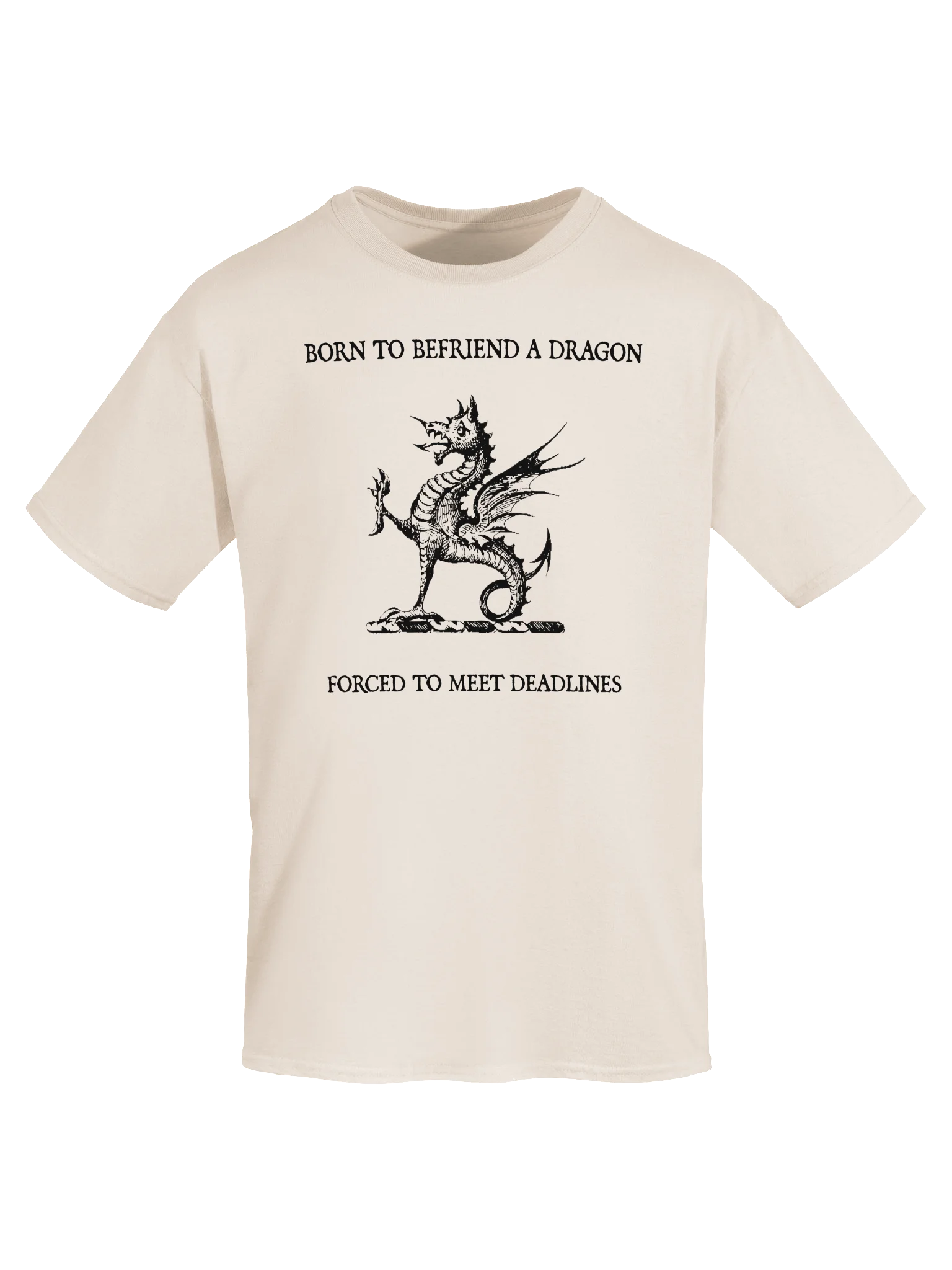 BORN TO BEFRIEND A DRAGON, FORCED TO MEET DEADLINES product image (55)