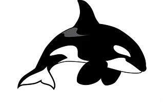Balena Productions Store