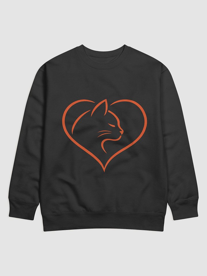 Adorable Cat Holding Red Heart Graphic product image (6)