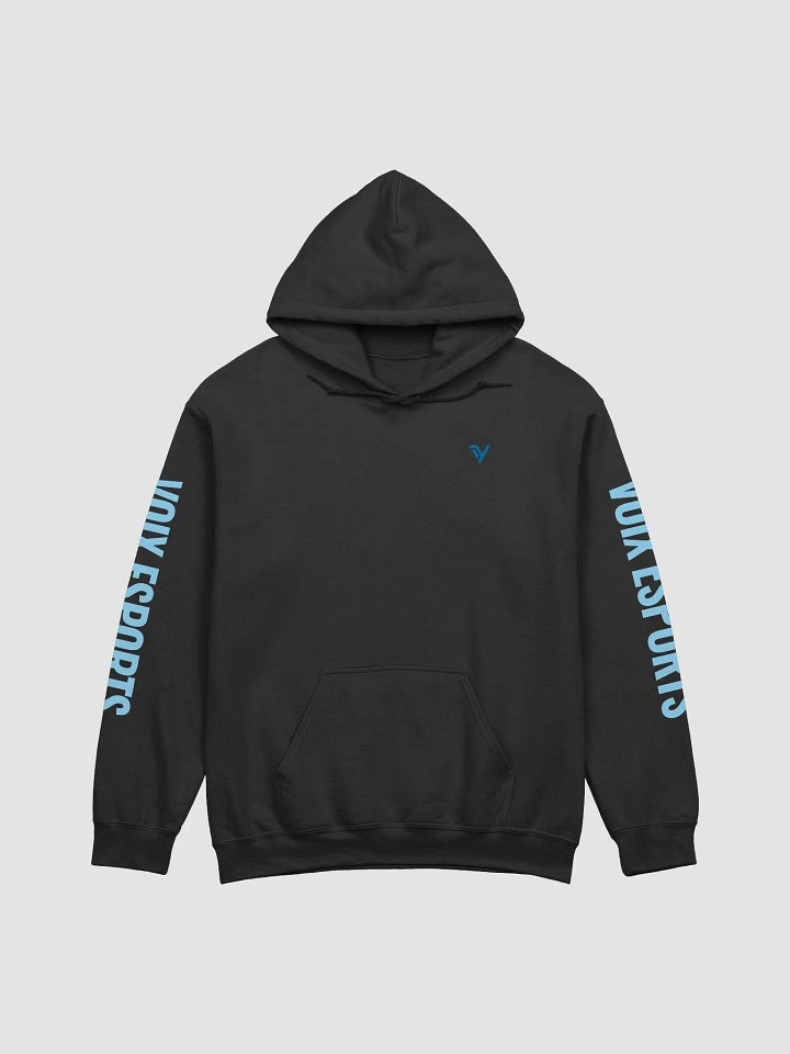 Voix eSports Outlined Hoodie product image (1)