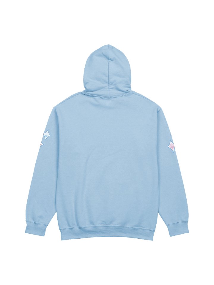 CandiCat Void Cat D20 2026 Hoodie product image (2)