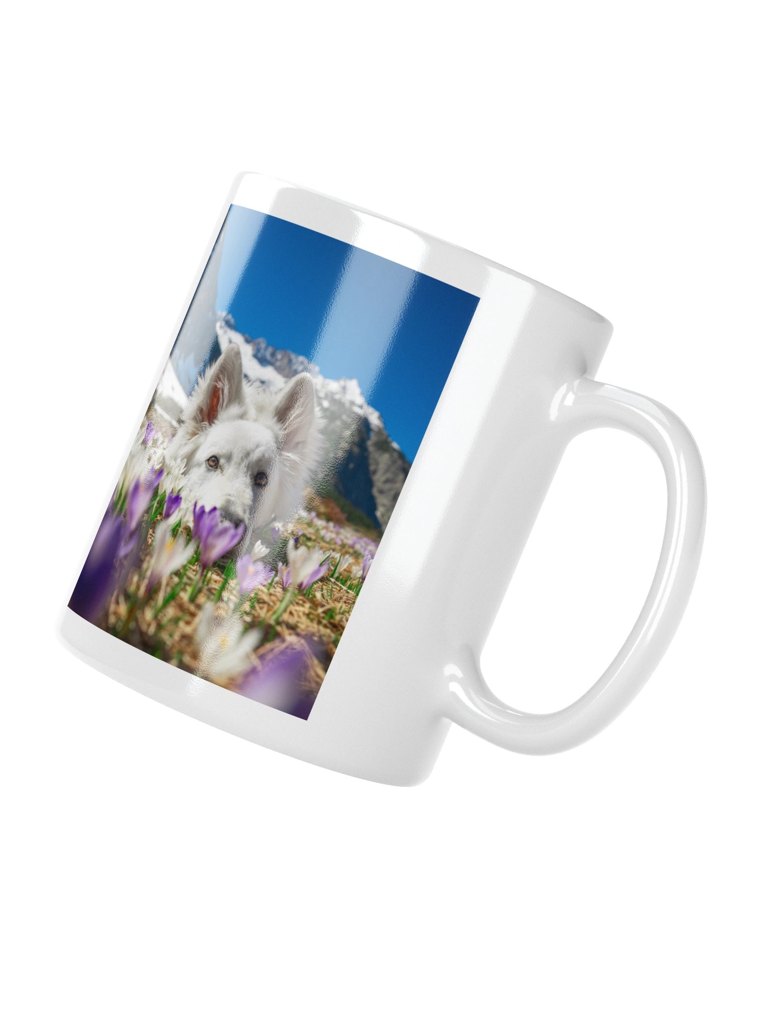 Lil Rasta in the crocus field product image (11)