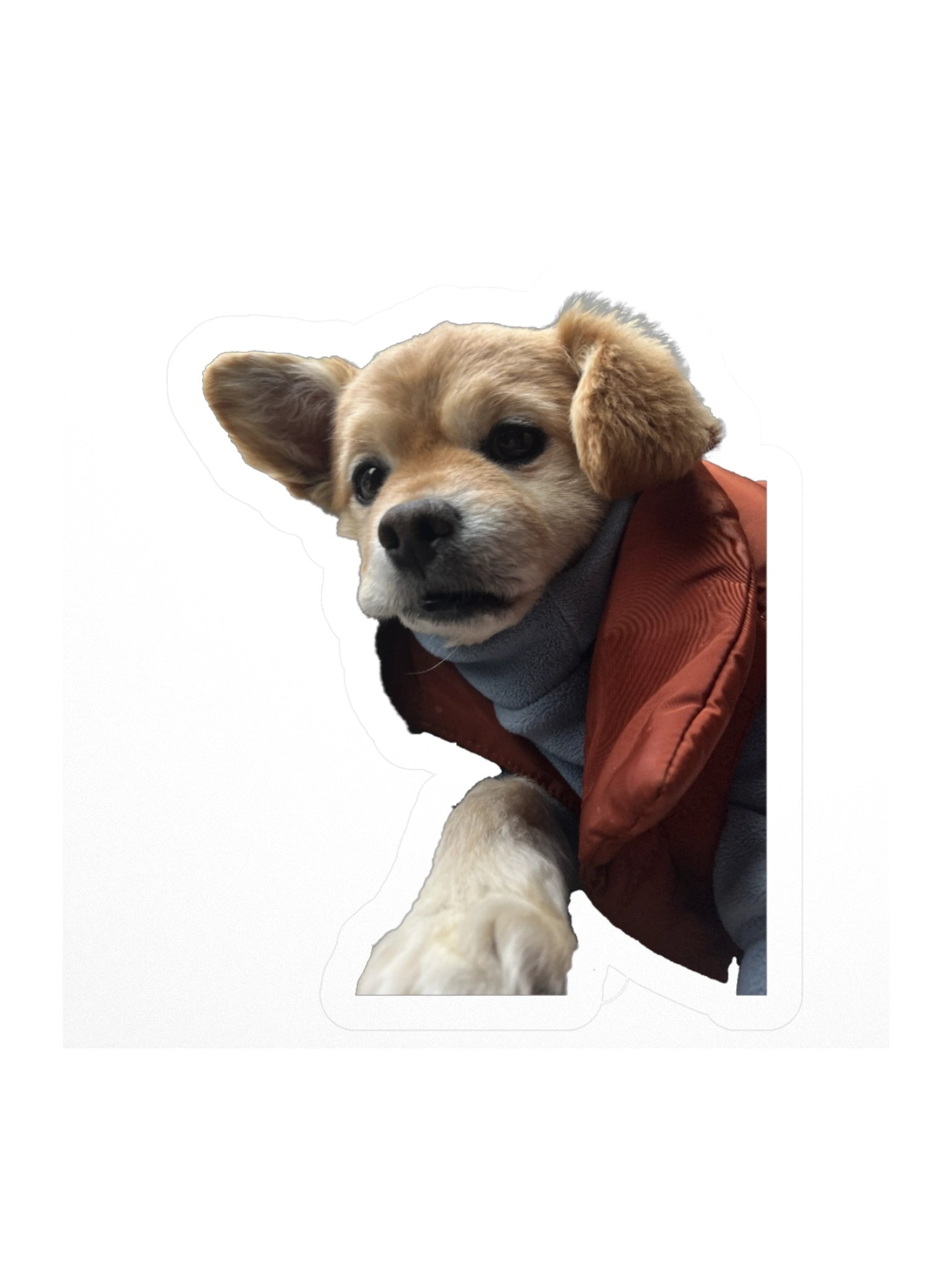 Marty McFry product image (3)