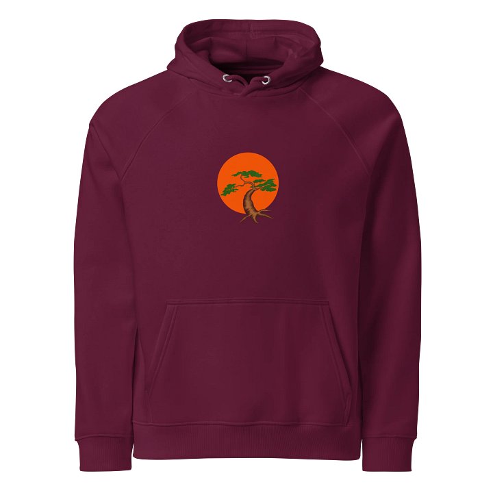Bonsai Tree Eco Raglan Hoodie product image (1)
