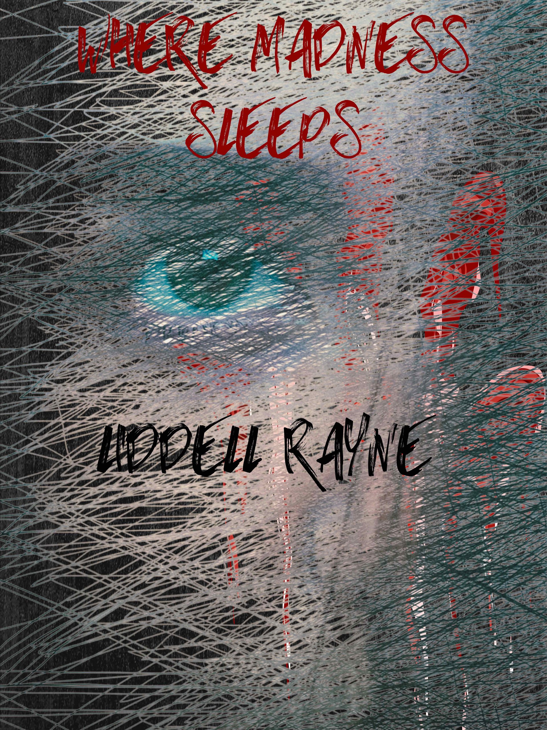 Where Madness Sleeps Ebook product image (1)