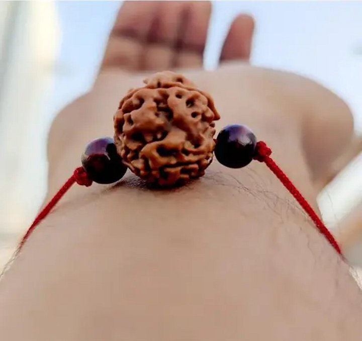 6 MUKHI RUDRAKSHA product image (2)