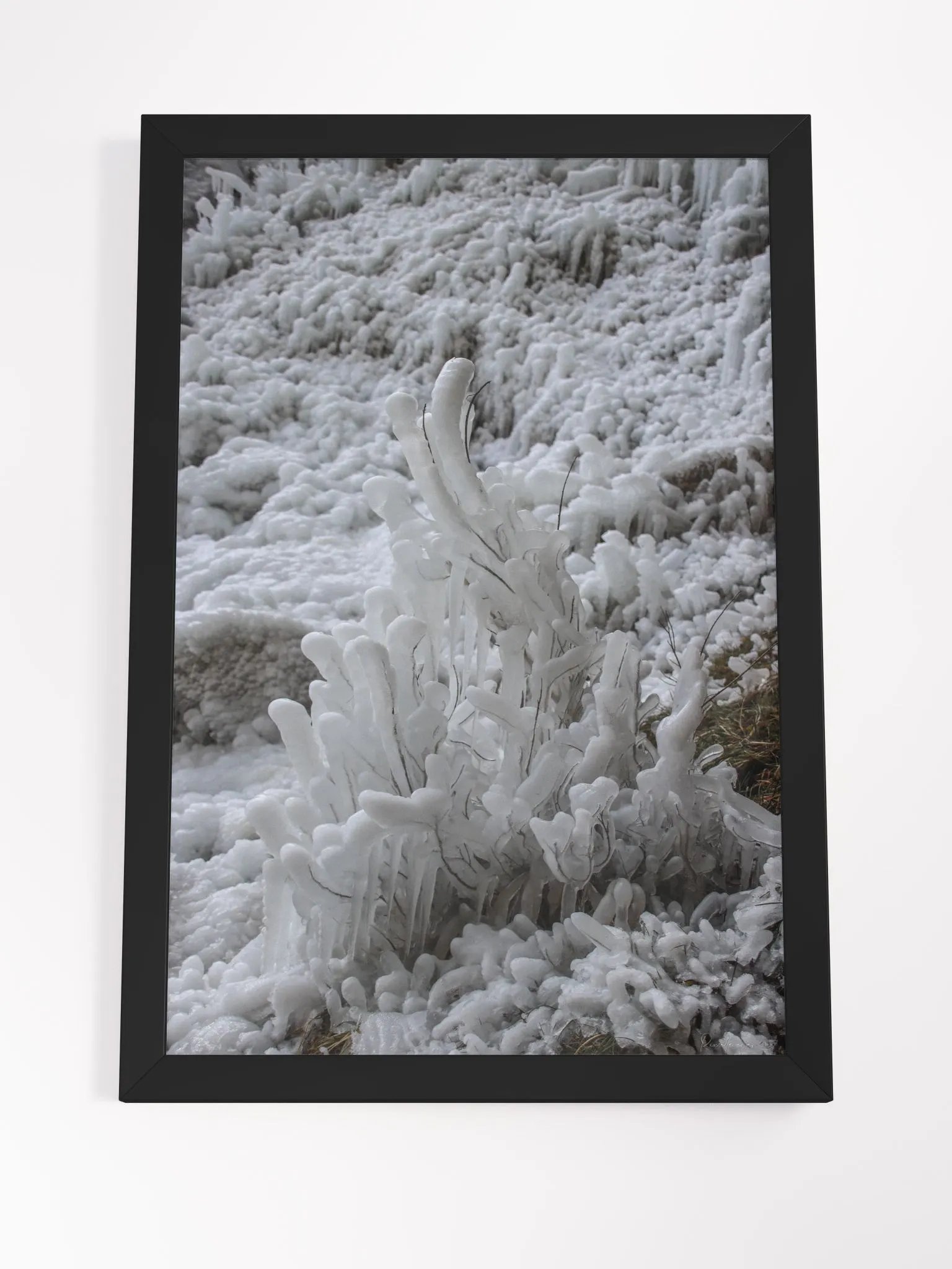 Prestige Print Fine Art - Limited edition - Frozen Elegance, Cascade de Clars product image (4)