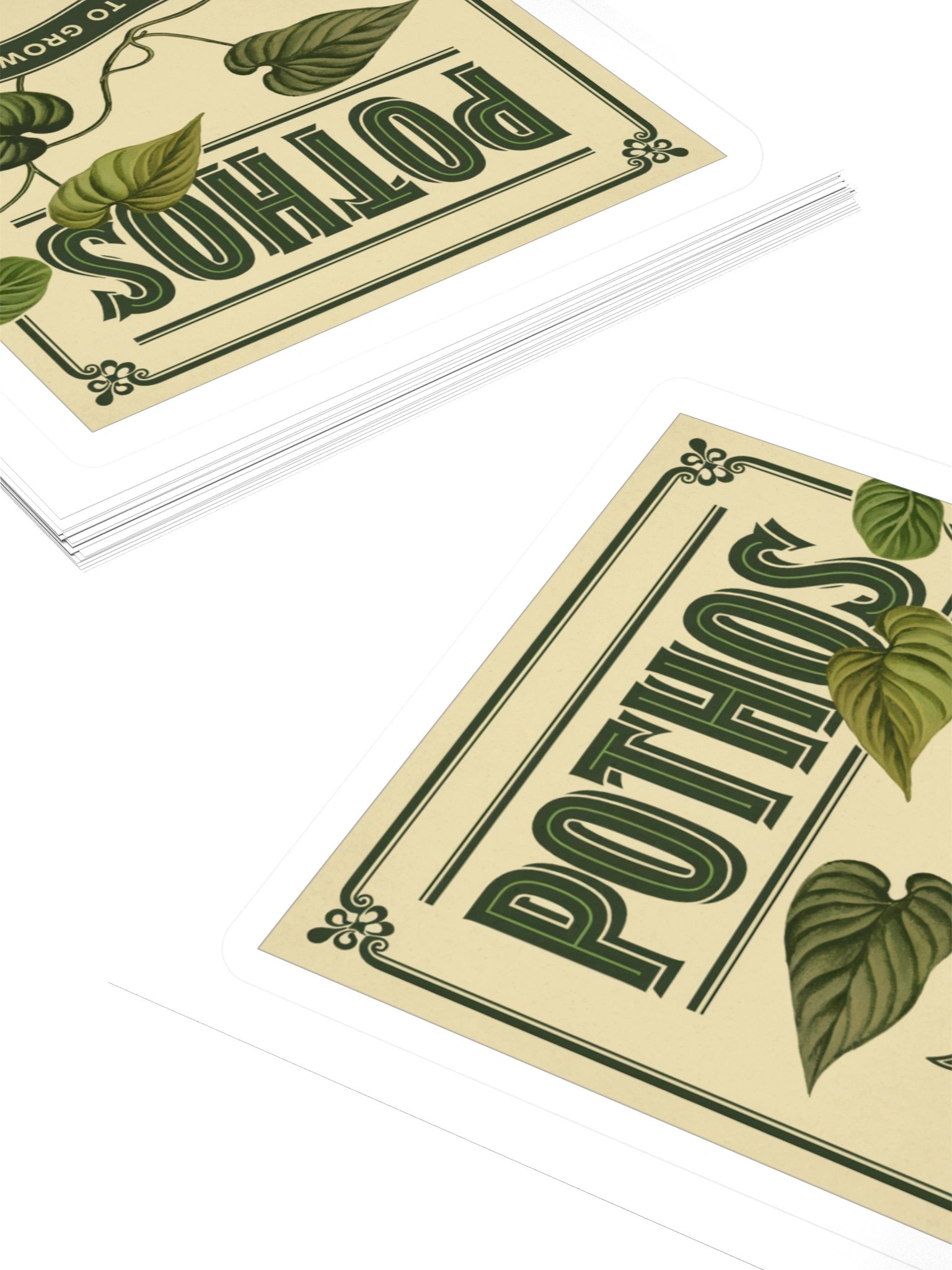 Vintage Seed Packet — Sticker product image (4)