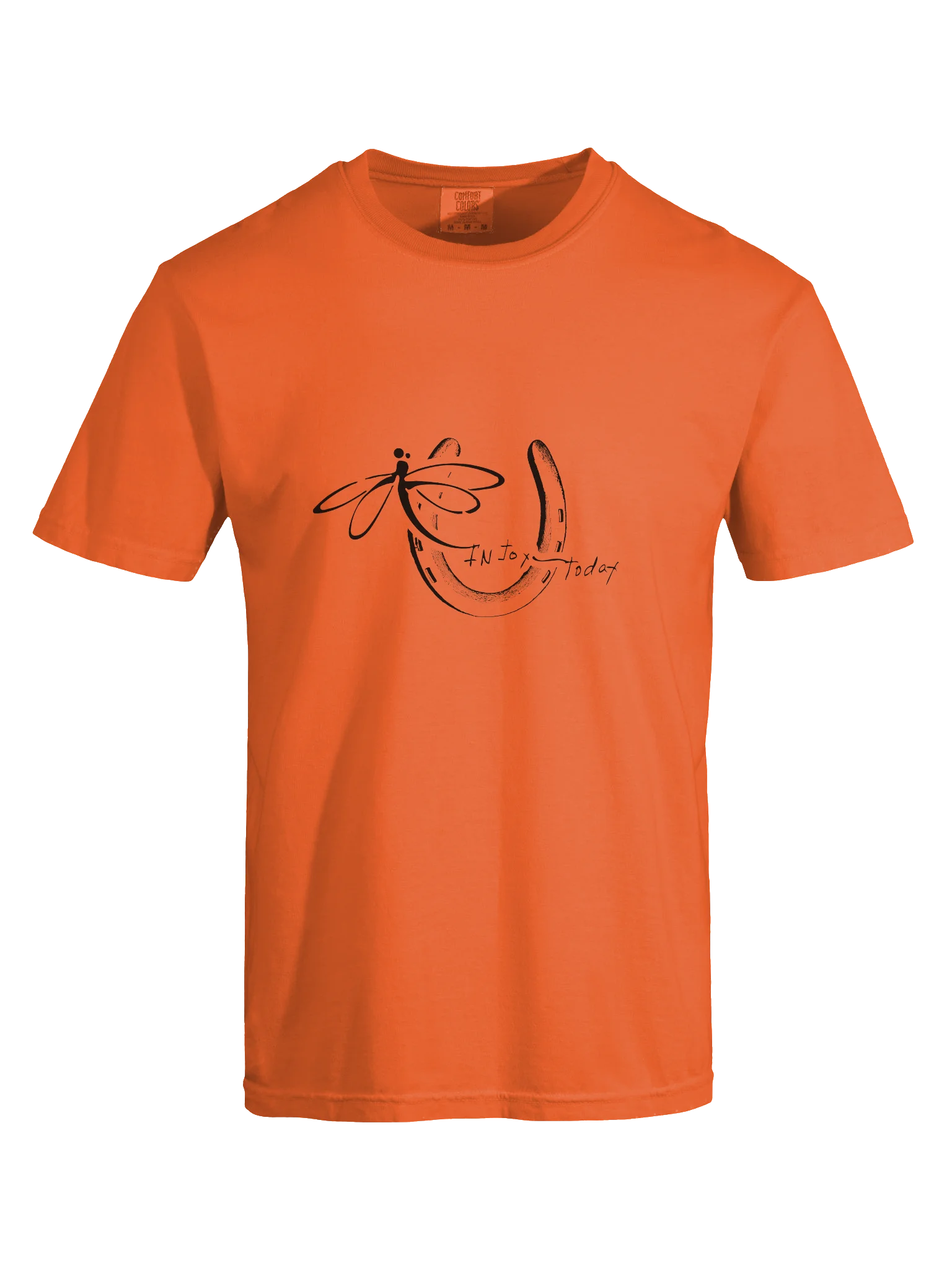 InJoy Today Daily Joy T‑Shirt| Premium Heavyweight Cotton T‑Shirt (Relaxed Unisex Fit) product image (4)