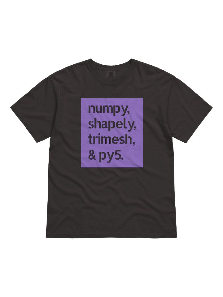 numpy, shapely, trimesh, and py5 (Heavyweight T-Shirt) product image (1)