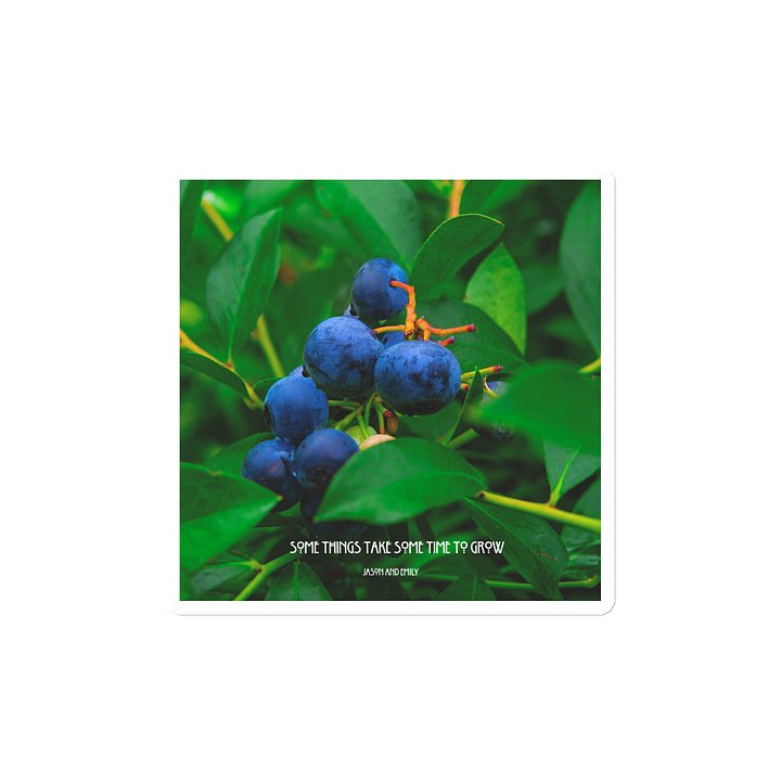 Some things take some time to grow- Wild Blueberry Magnet product image (2)