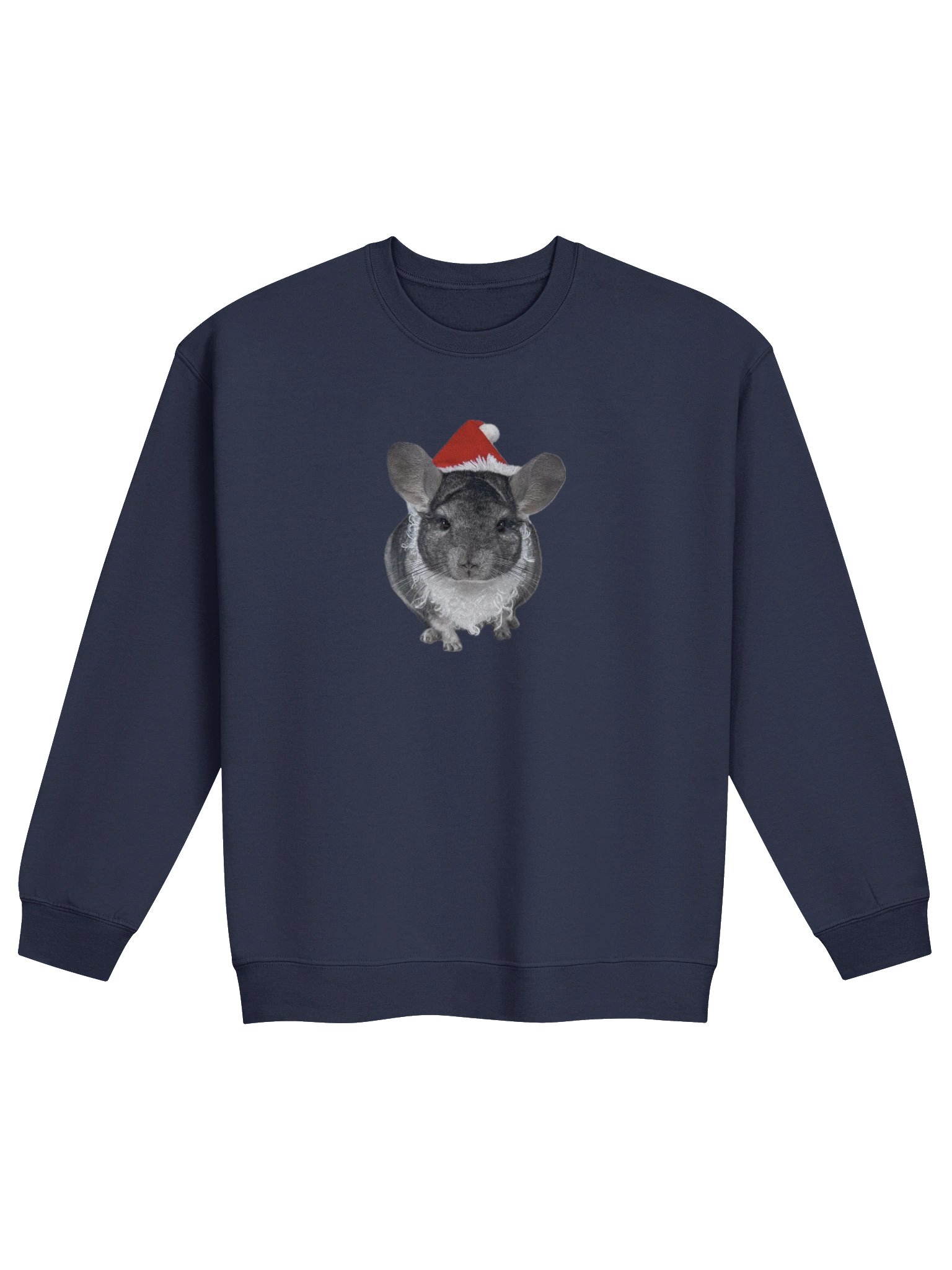 Philly Sant-Chilly Sweatshirt product image (1)