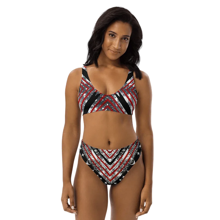 Black/Silver and Stripes Bikini product image (1)