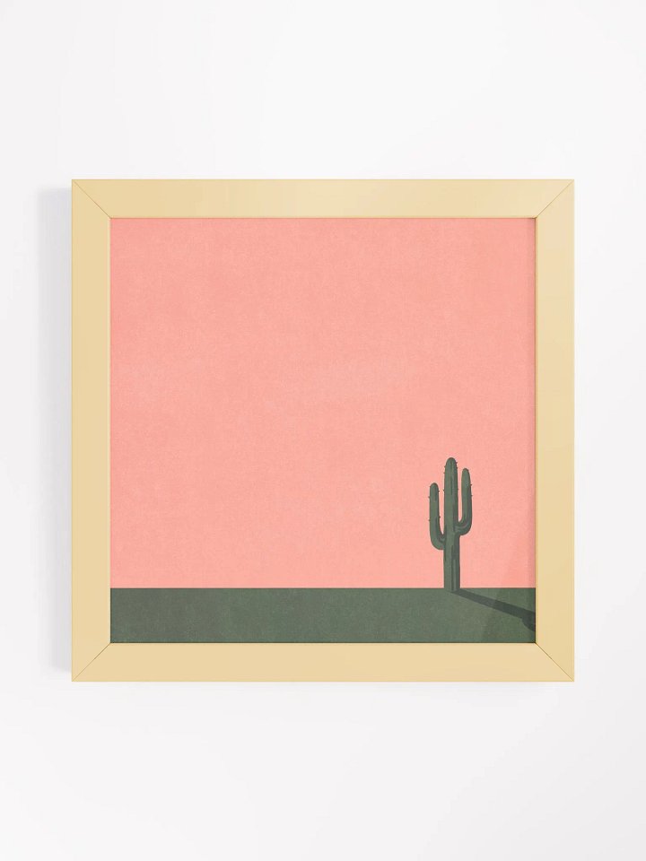 Cactus product image (1)