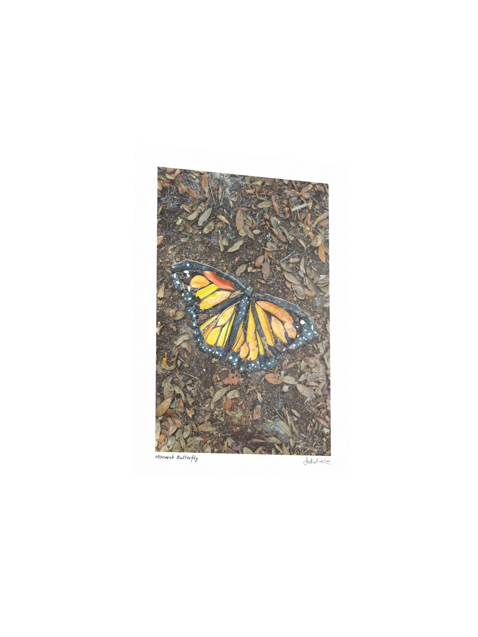 MONARCH BUTTERFLY | Mini Print product image (3)
