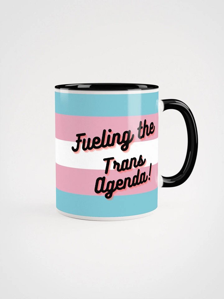 Fueling the Trans Agenda product image (1)