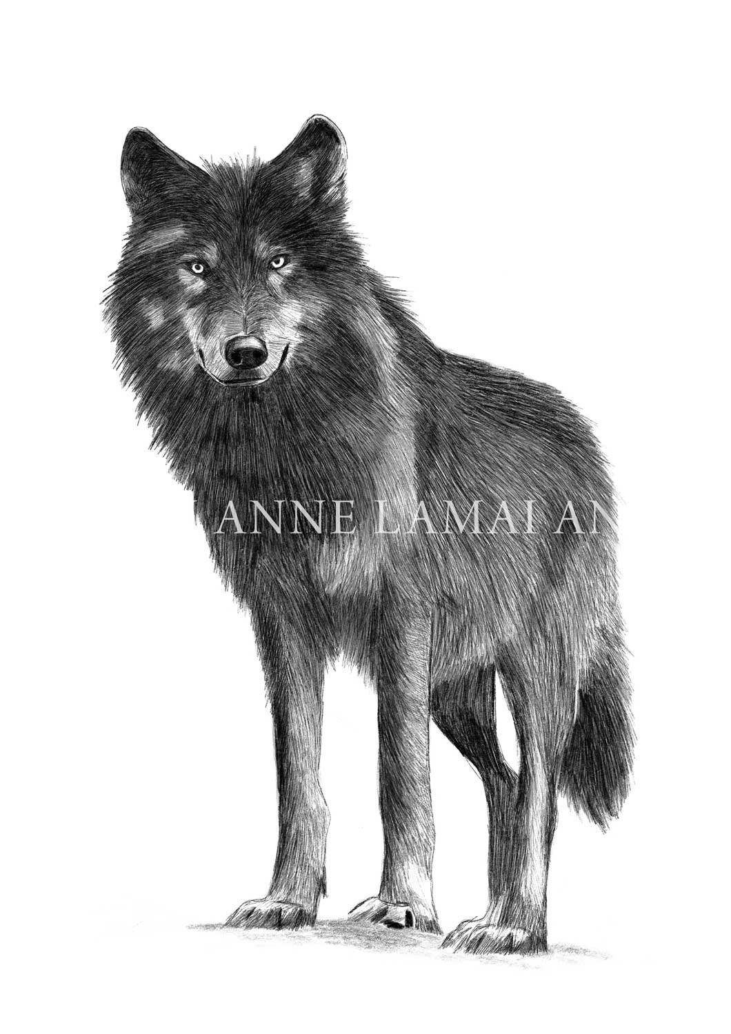 Wolf Standing | The Heart of Shadow Art Print product image (1)