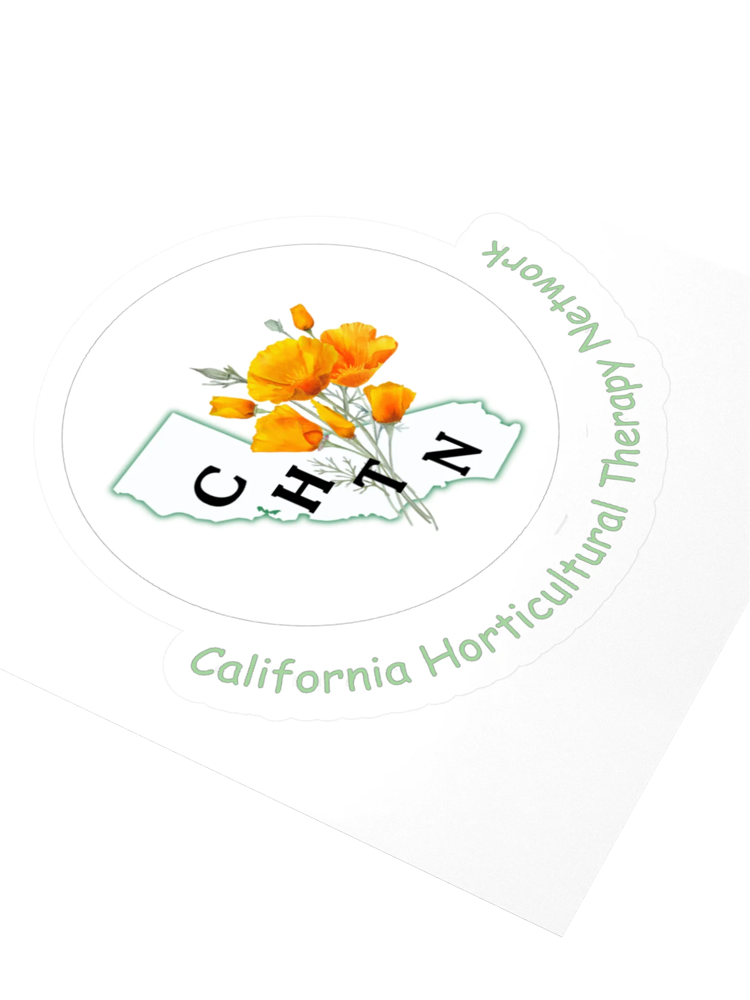 CHTN Sticker product image (9)