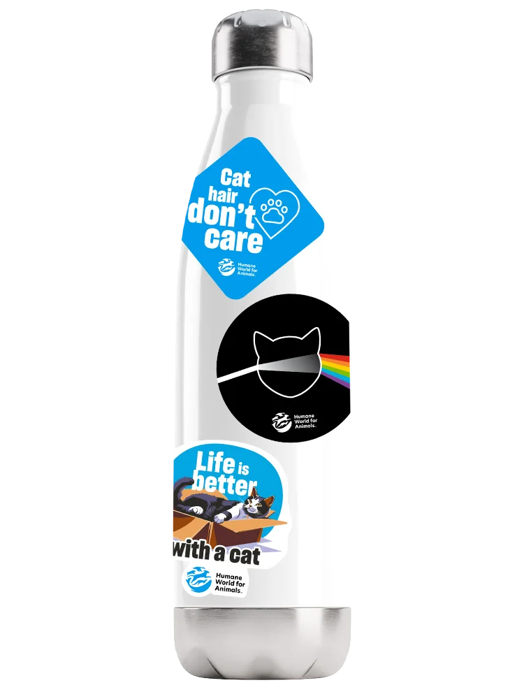I love cats stickers – Set of 4 product image (1)