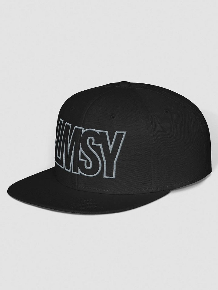 LMSY - LET ME SHOW YOU Flat Bill Hat product image (2)