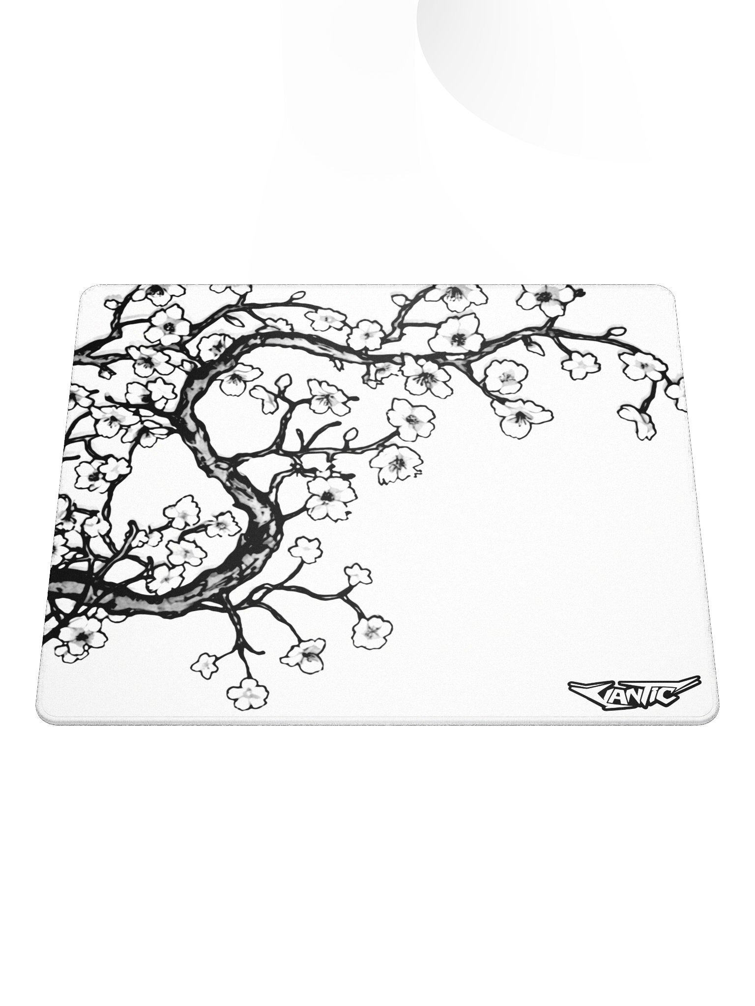 WINTER BLOOM × 004 product image (3)