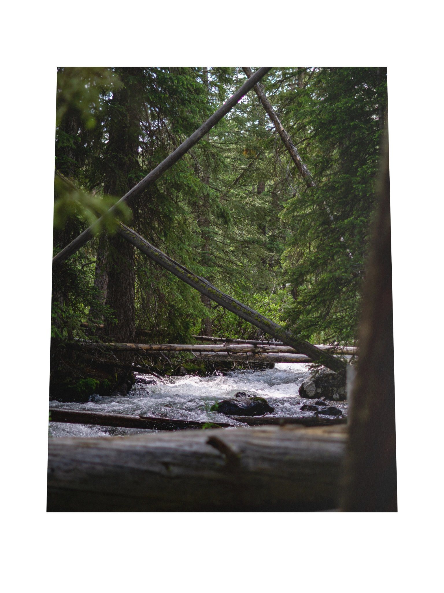 Sawtooth Stream (POSTER) product image (4)