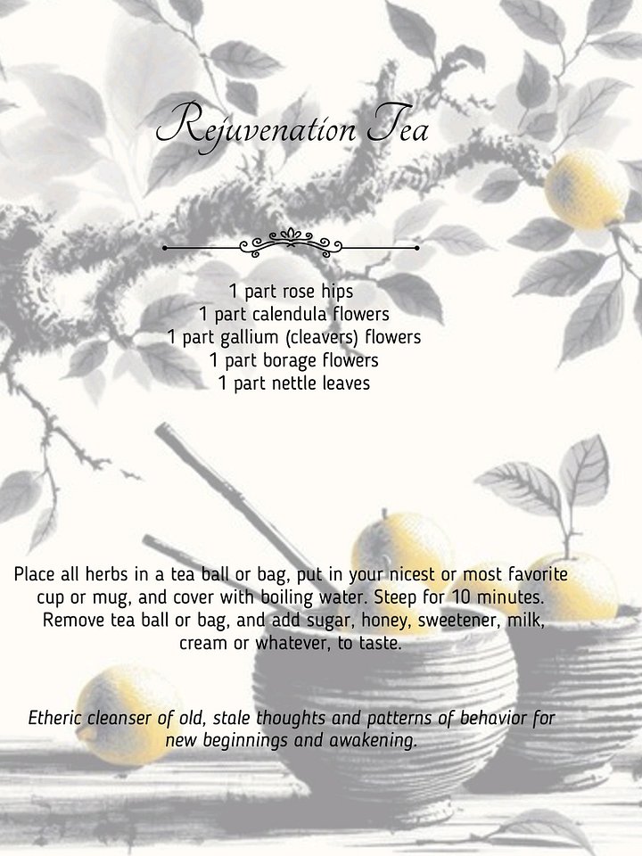 Maaaadzz Tea Time Tea Book product image (2)