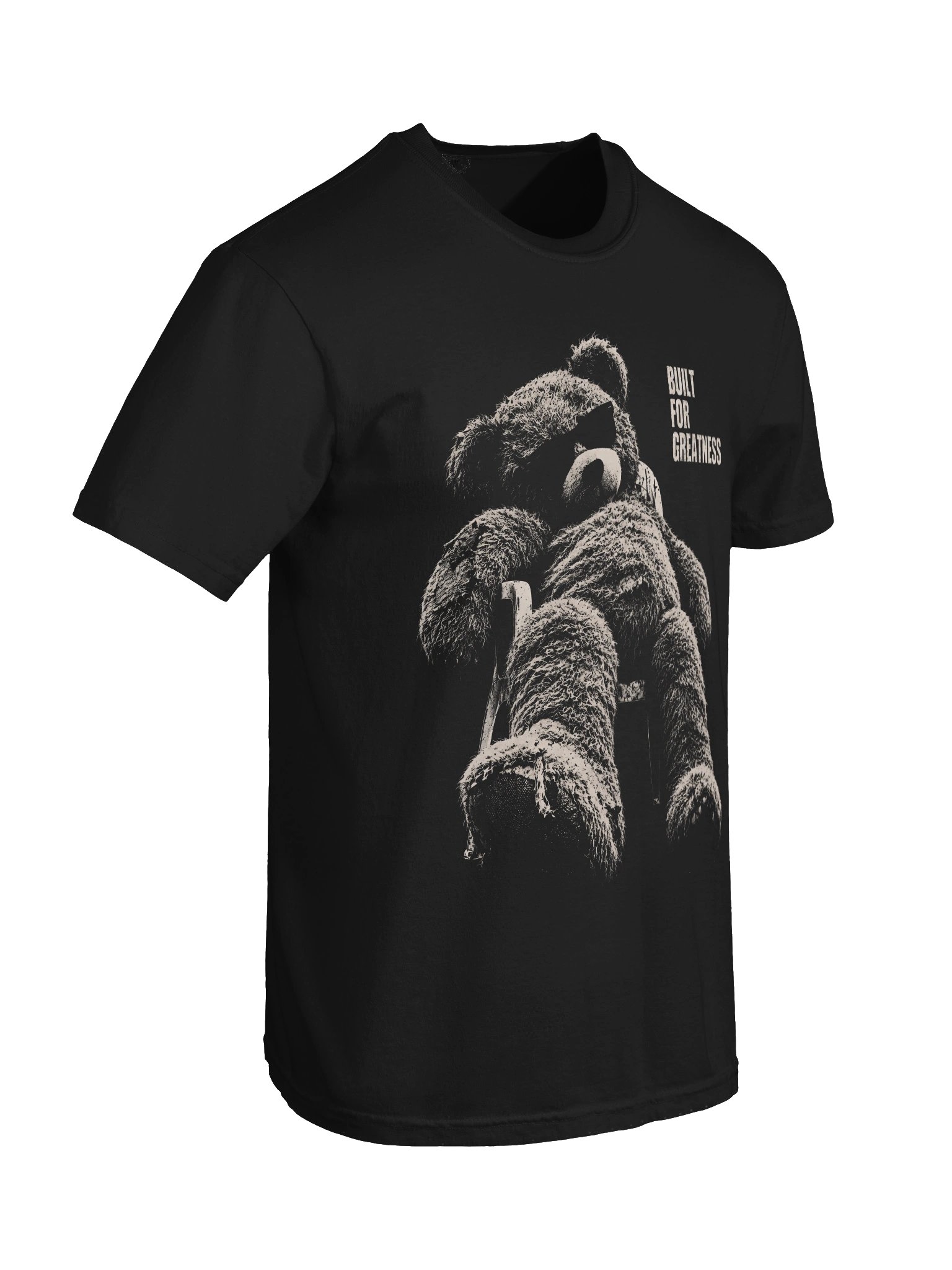 Built for Greatness Heavyweight Graphic Tee product image (7)