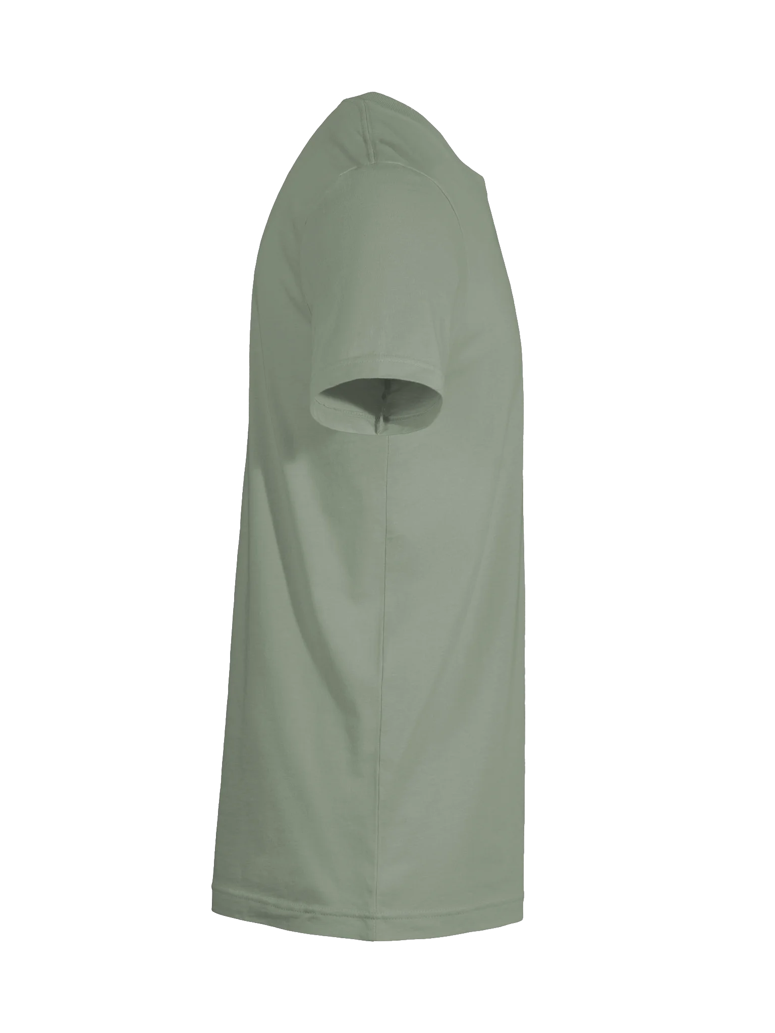 Highly Favored. Dangerously literate. Green tee. product image (10)