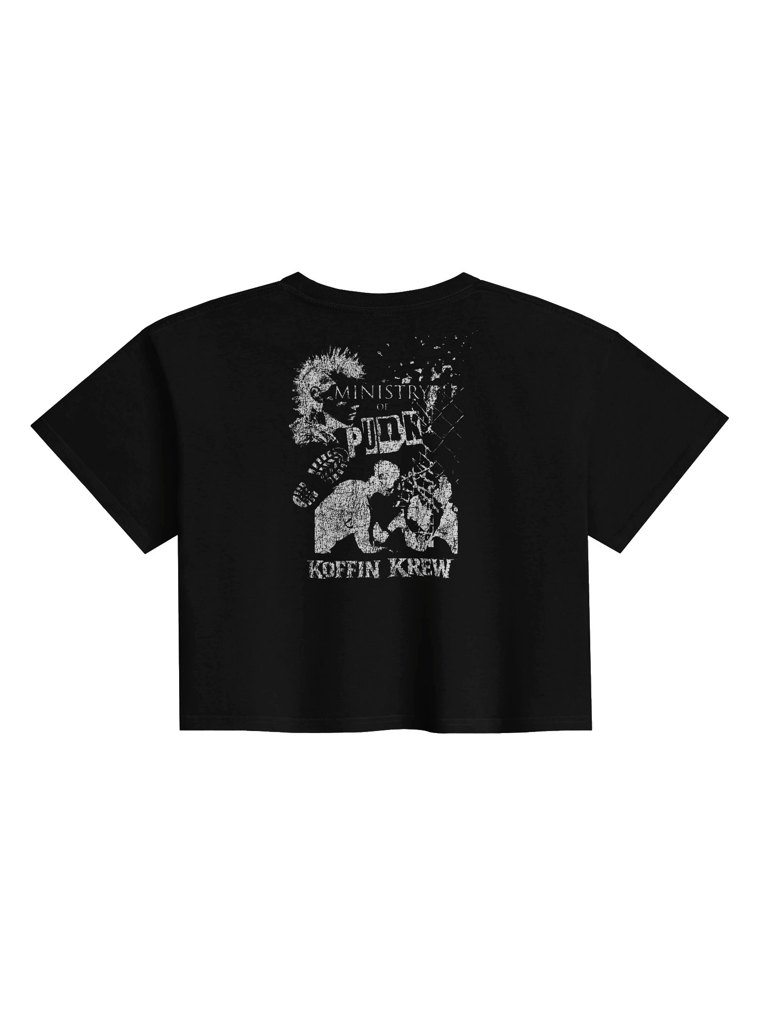 Punk Rotten Crop Top product image (2)