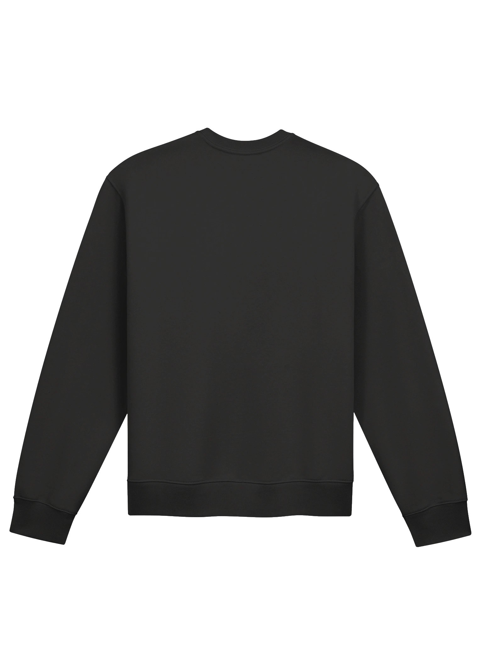 Wynnewood Oversized Bella+Canvas Crewneck Sweatshirt product image (6)