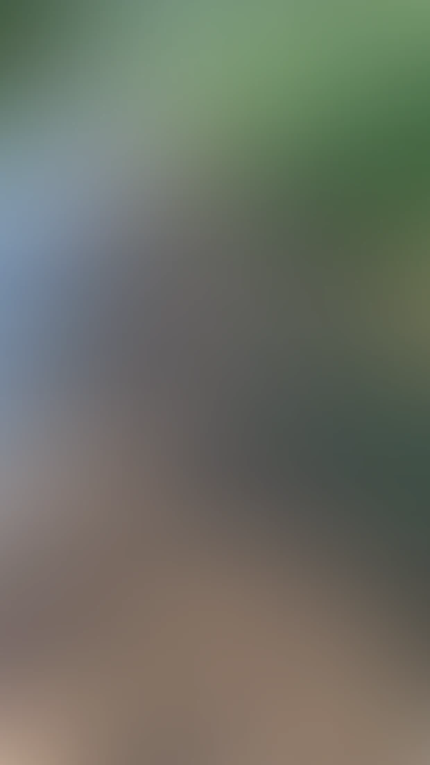 Video thumbnail background