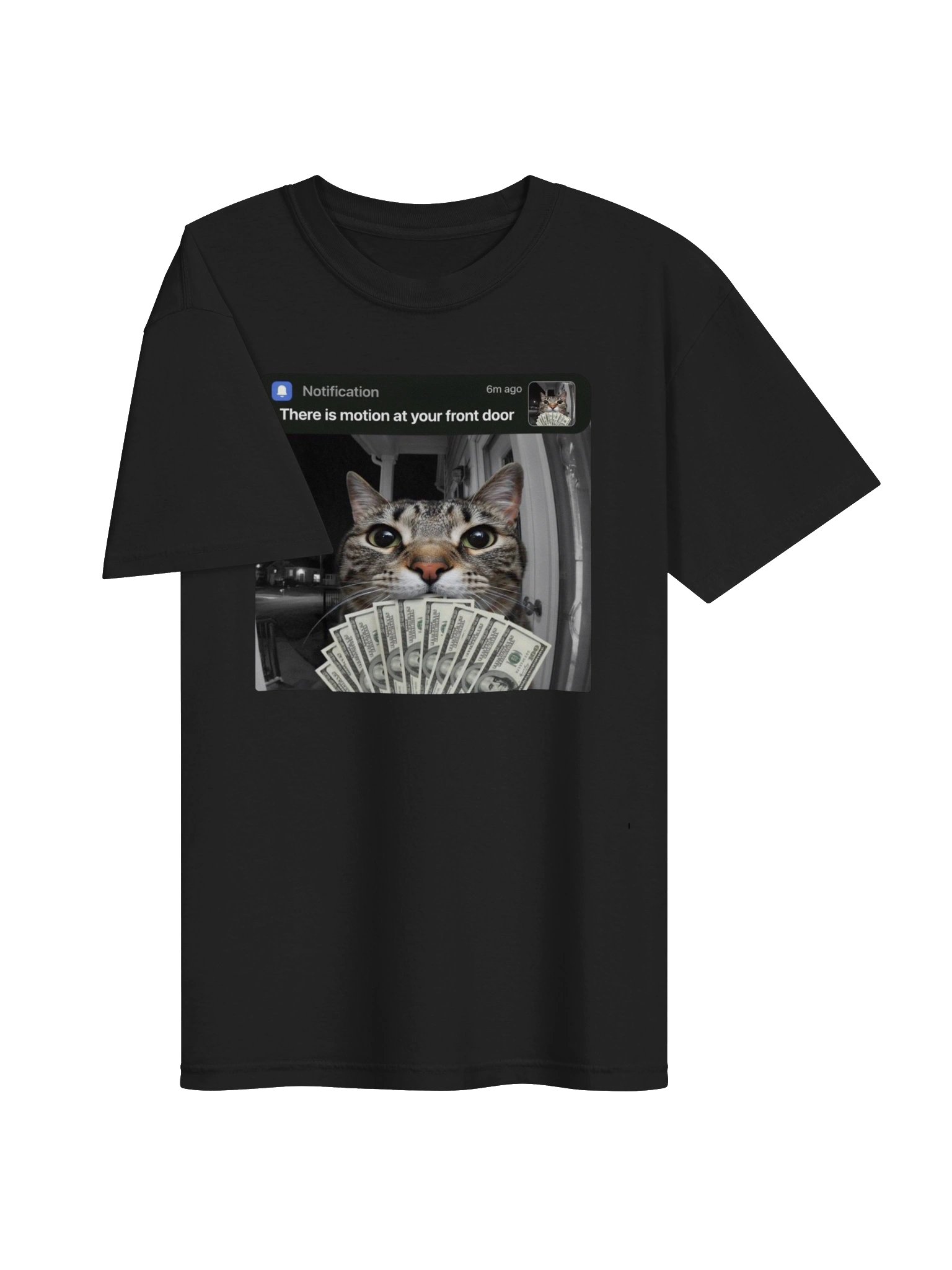 There is Motion At Your Front Door Funny Cat Motion Meme T-Shirt product image (25)