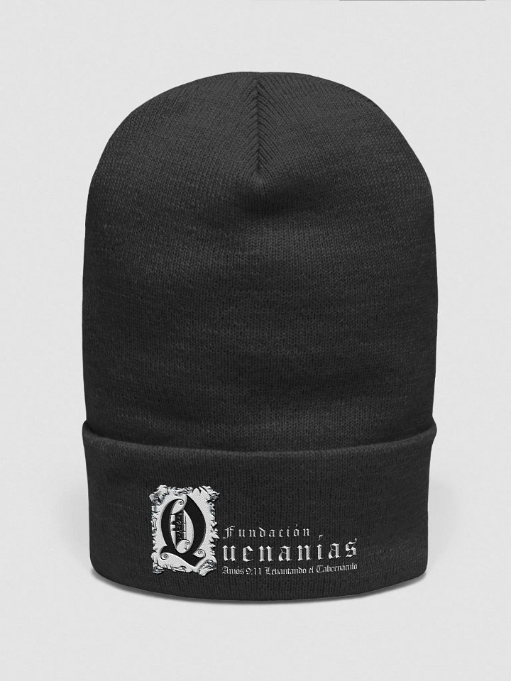 Beanie 1 product image (1)
