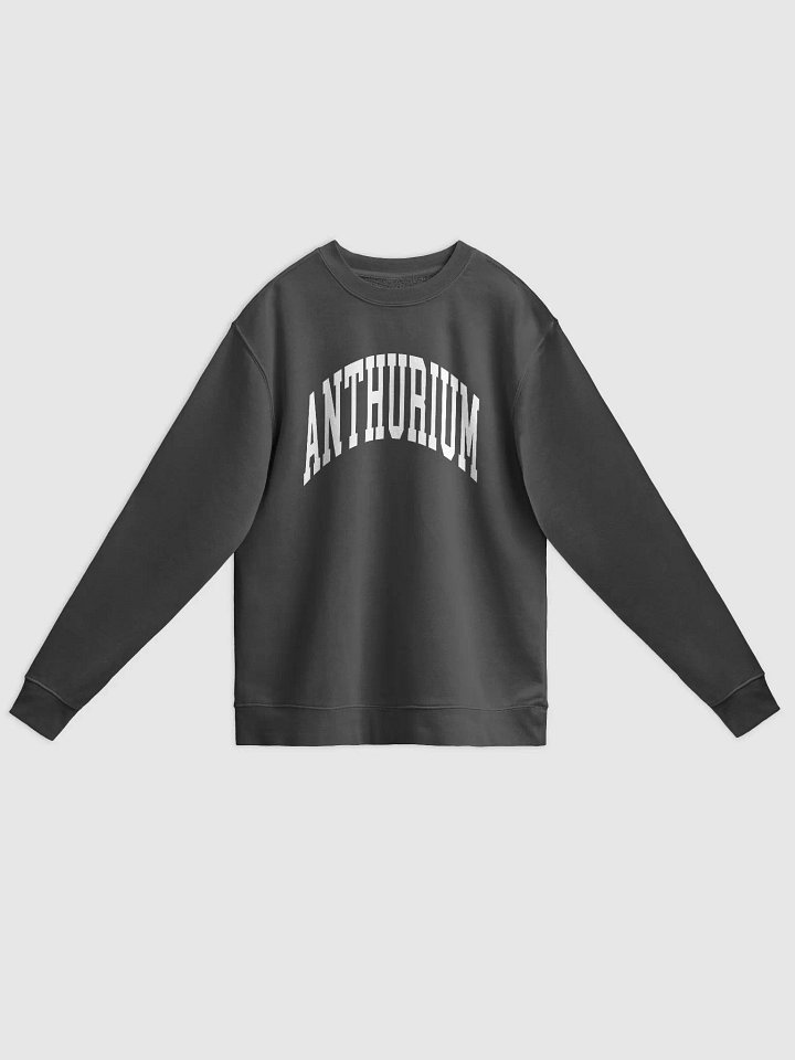 ANTHURIUM VARSITY - Midweight Pigment Dyed Sweatshirt product image (3)
