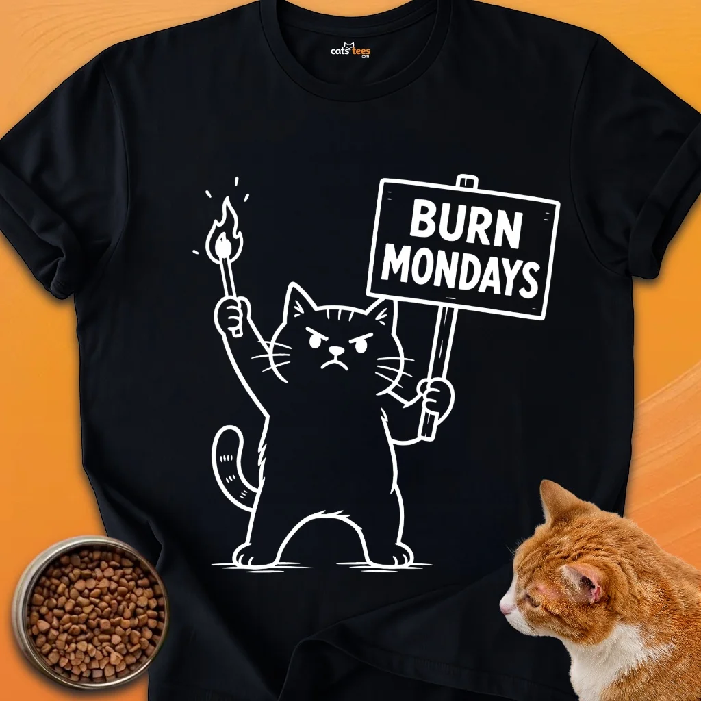 Burn Mondays! product image (1)