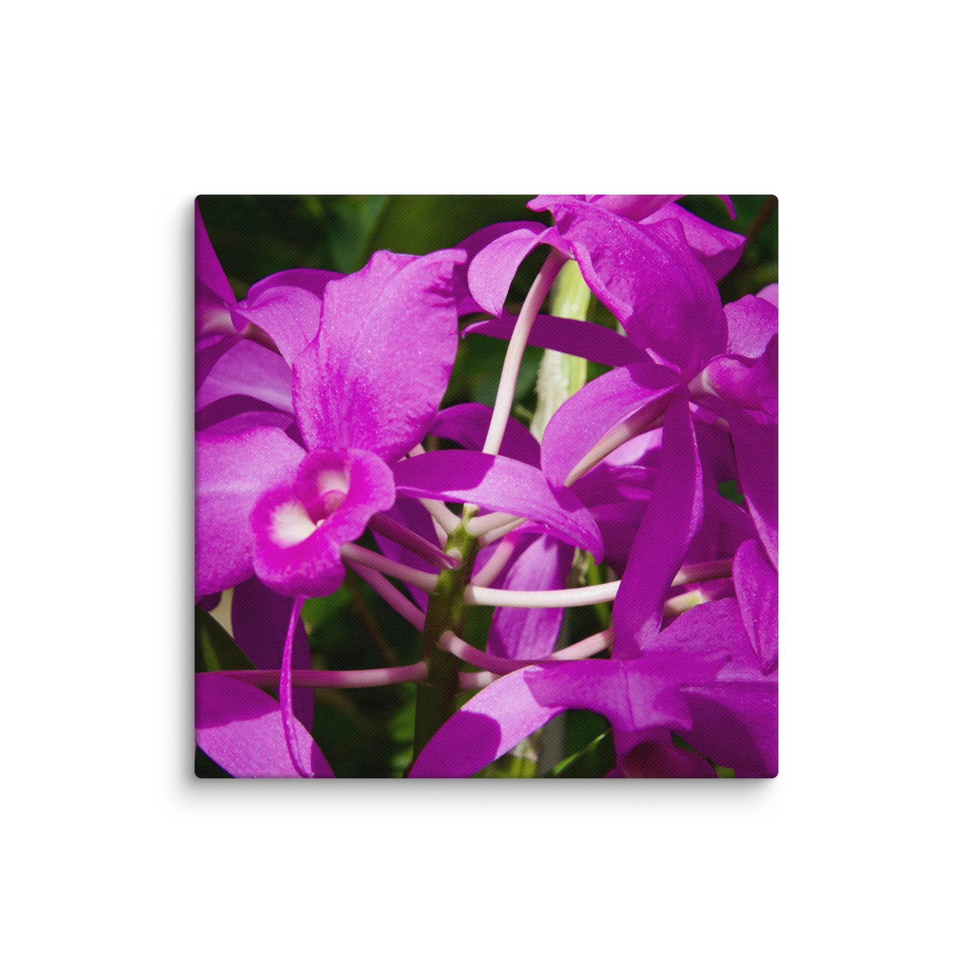 Purple product image (26)