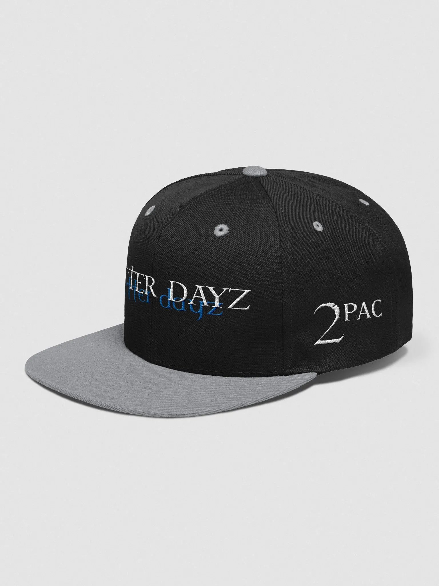 Better Dayz Snapback product image (2)