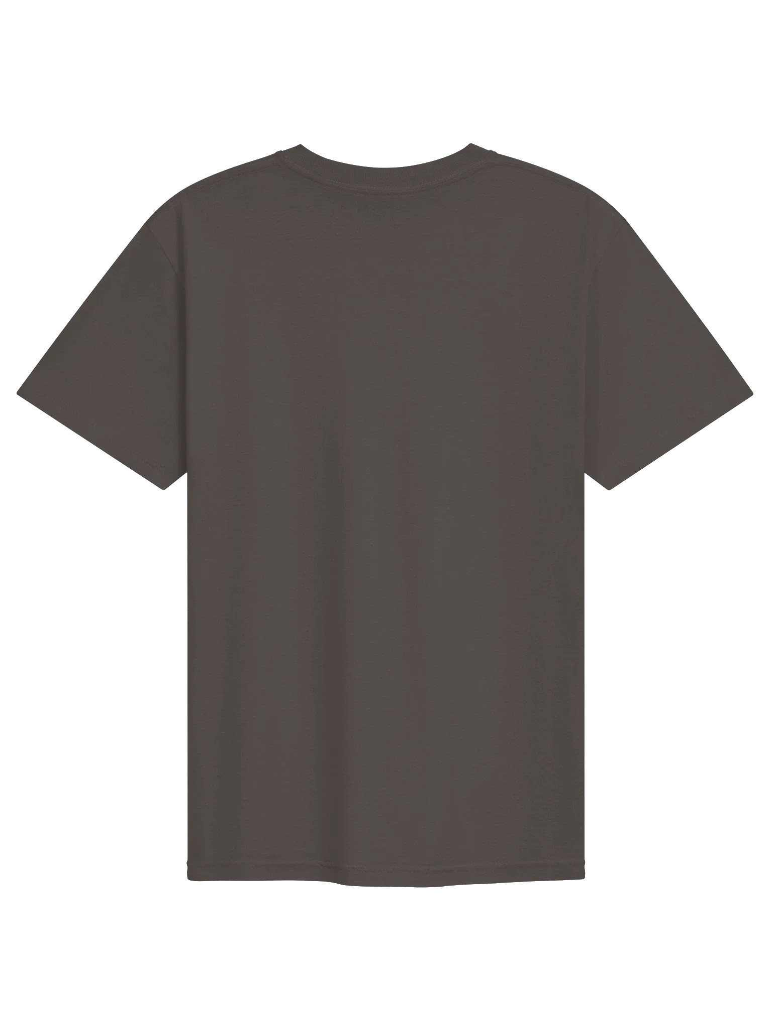 sendIT Tee — view 10