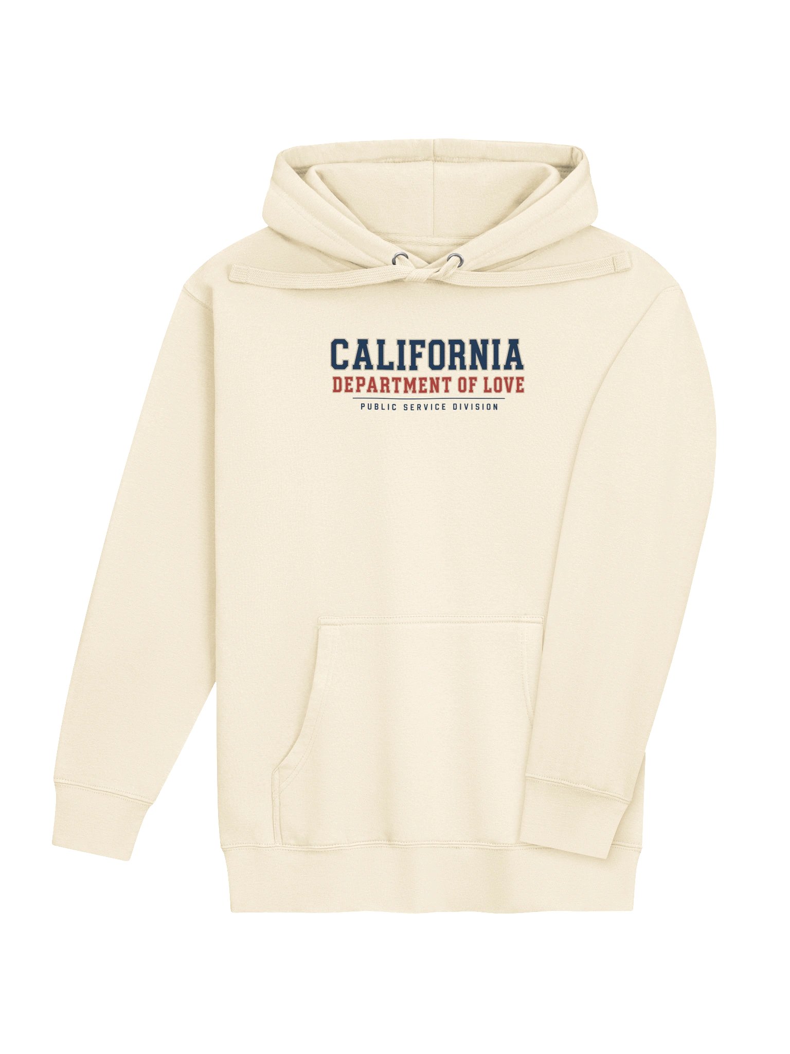Public Service Division Hoodie - California State Worker product image (4)