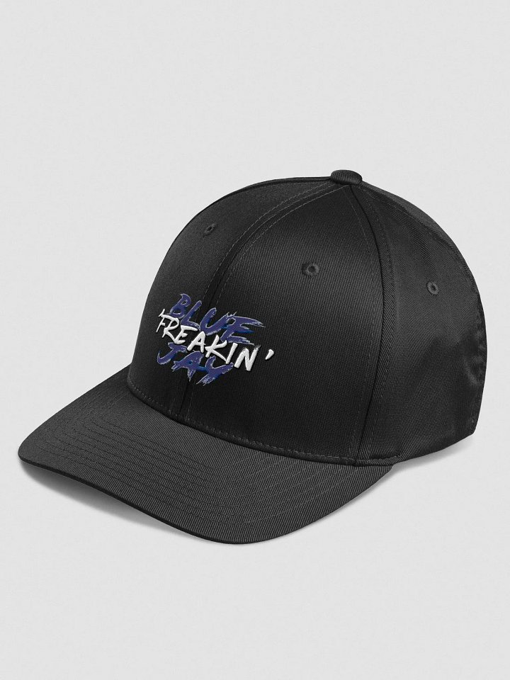 BTW Blue Freakin Jay fitted snap back product image (9)