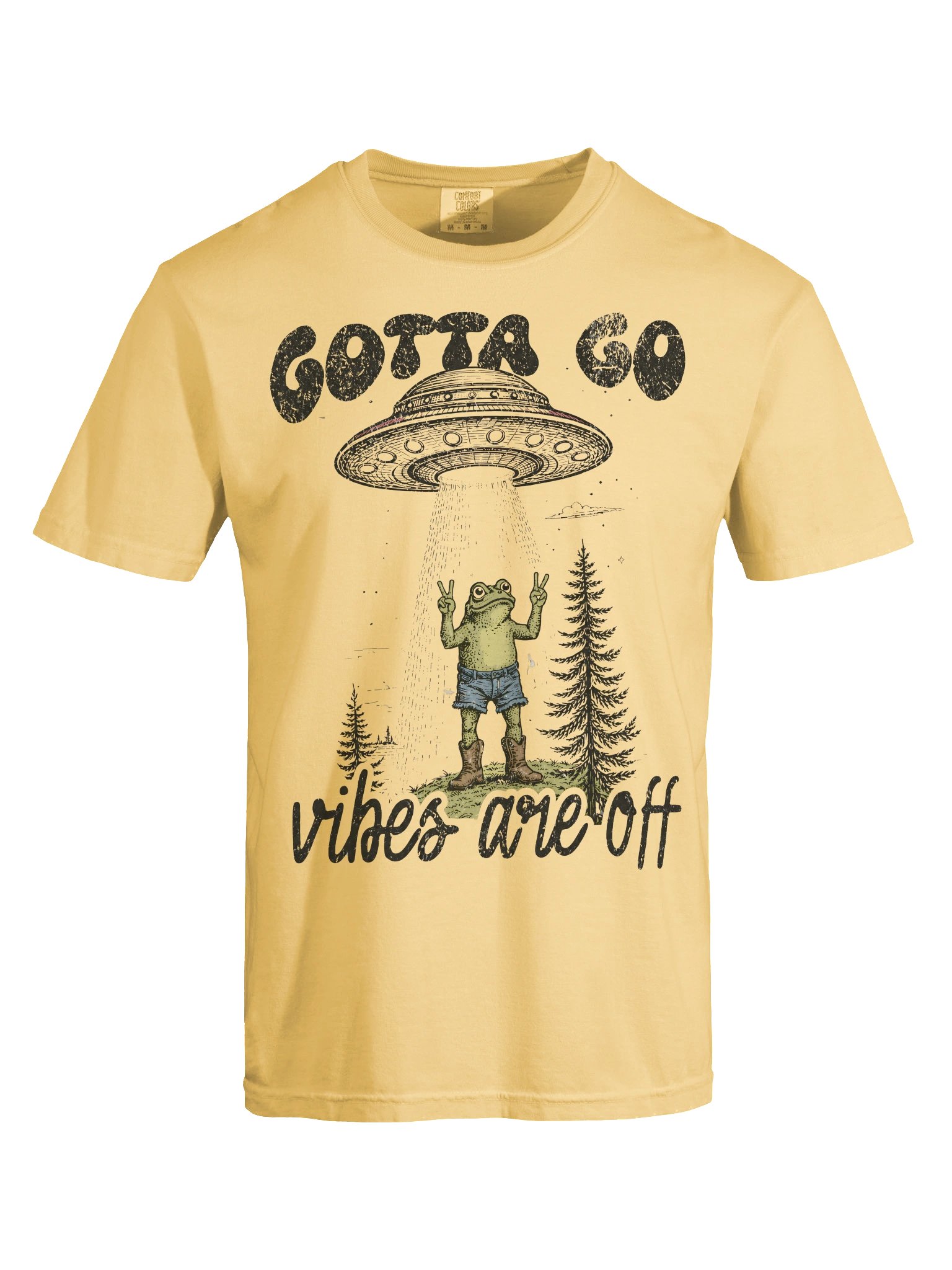Frog UFO Graphic Tee, Comfort Colors Alien Abduction Shirt, Funny Retro Space T-Shirt, Vibes Are Off Tee, Unisex product image (62)