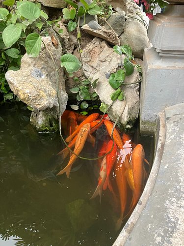 Hoan Kiem Lake 🇻🇳 [18.Jan.2025]

I love the turtle… but it really is the stuff of nightmares 😂😬
