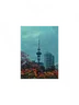 Sky Tower and Flowers 💐
