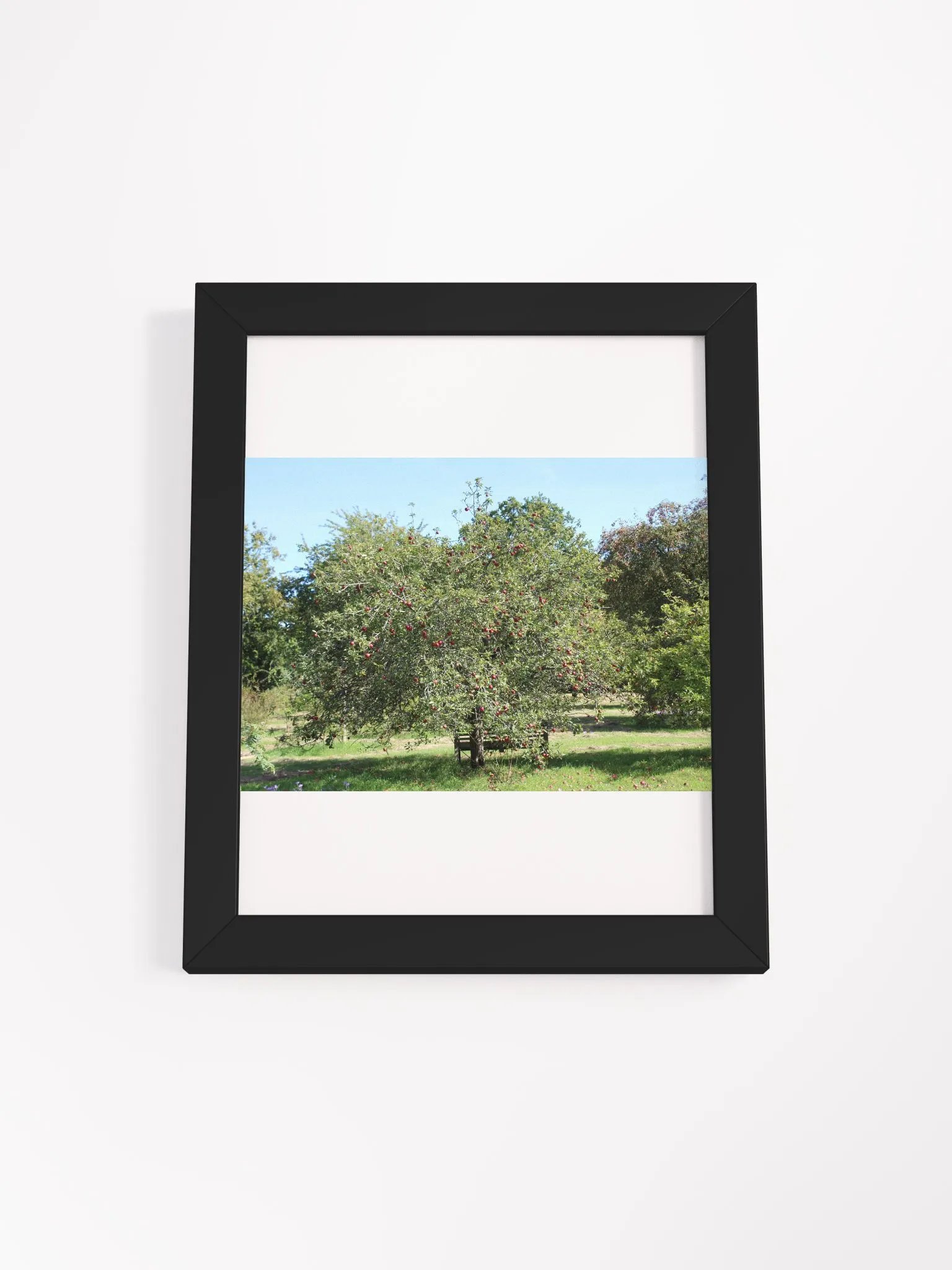 Sunny Orchard Framed Matte Poster product image (3)