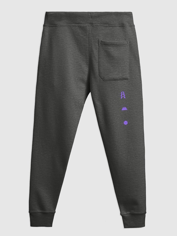 Raven Division Jogger product image (2)