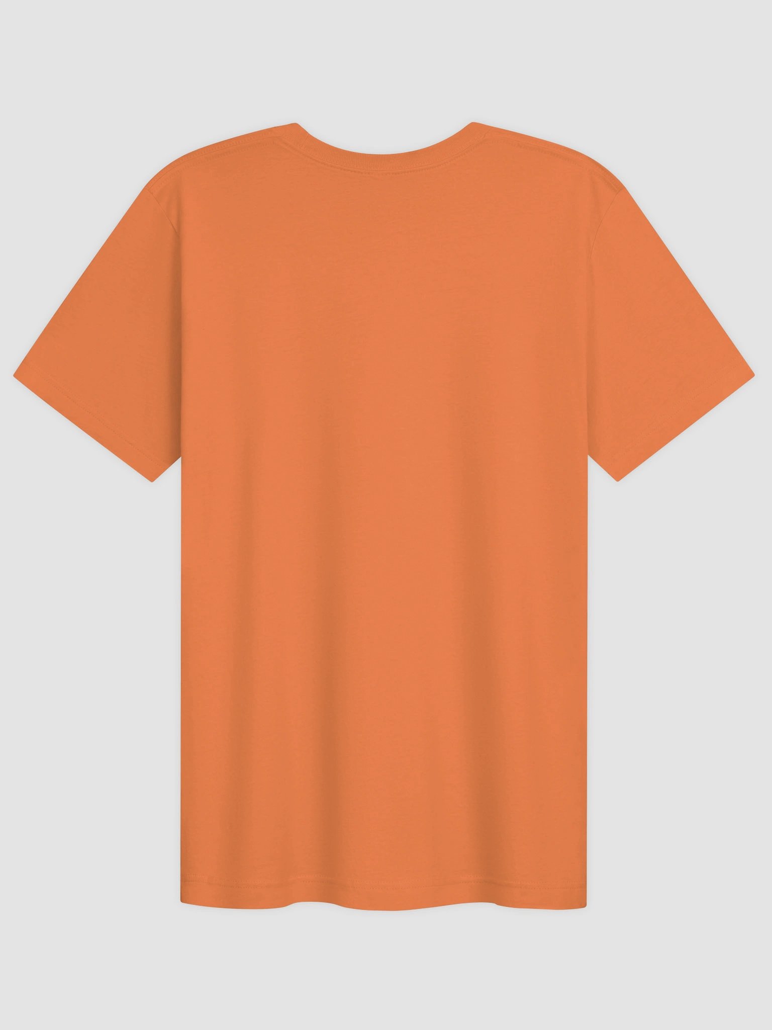 The Lord Fights for You (David) T-Shirt product image (2)